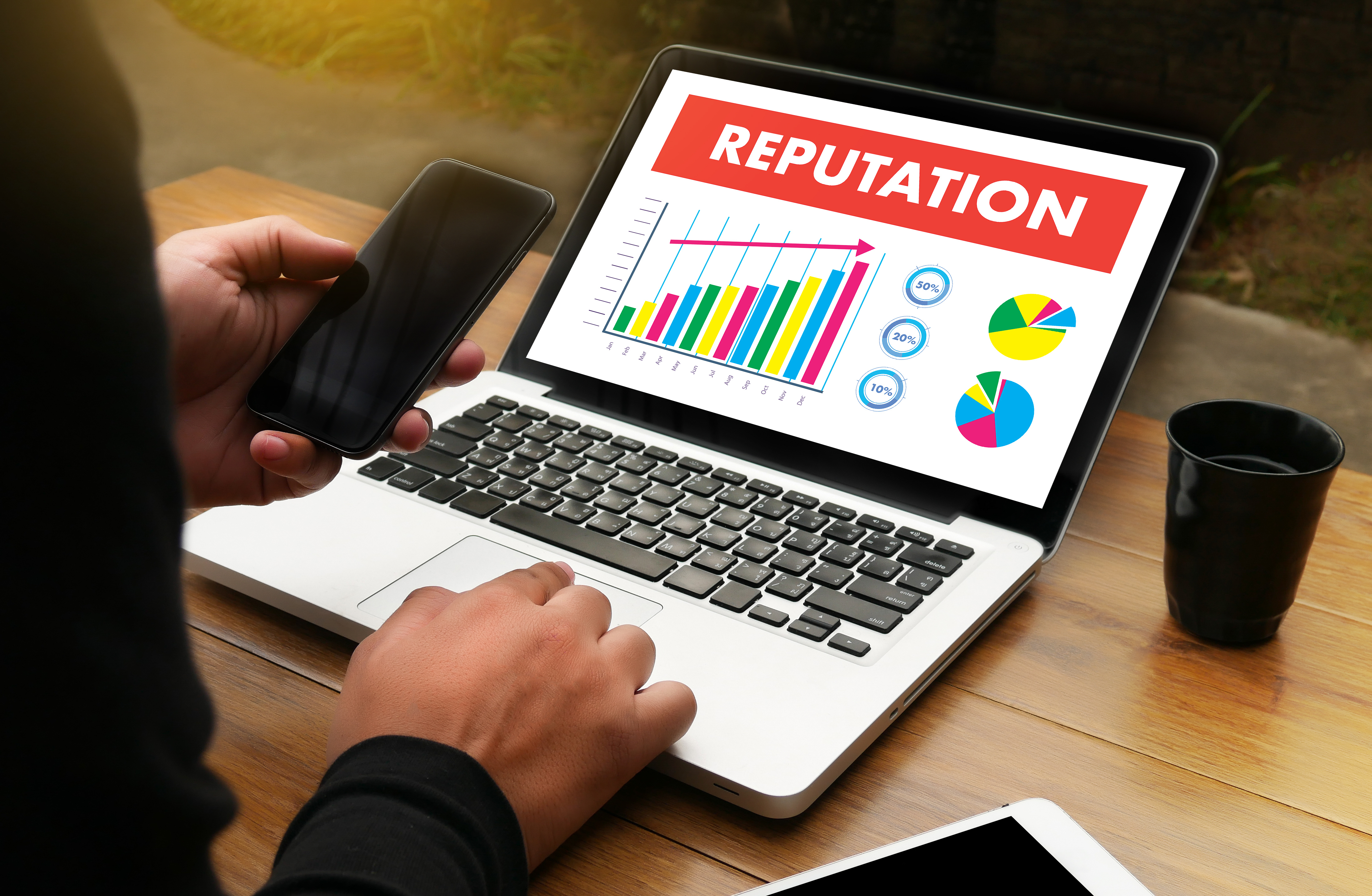 Online Repeutation Management